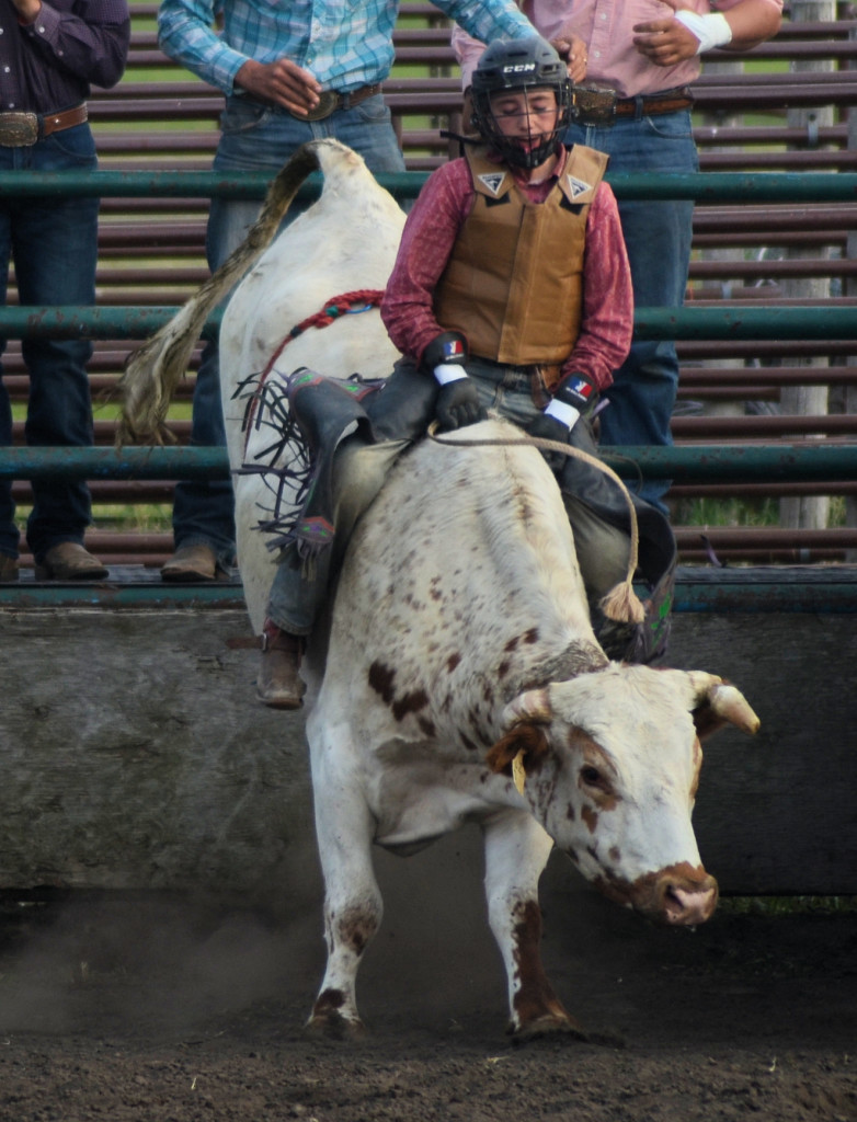junior steer rider at Unity SK