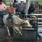 5168 steer in air out of chute