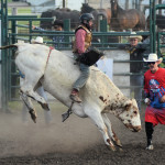 5175 steer rider profile