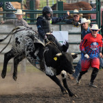 5190 steer rider with fighter