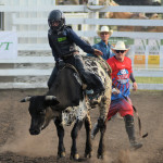 5194 steer rider