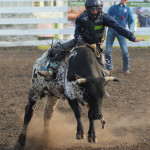 5196 steer riderx