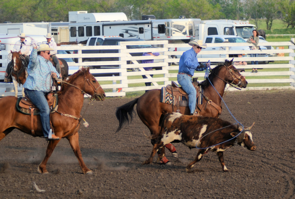 team roping at Unity rodeo