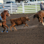 team roping