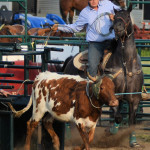 team roping