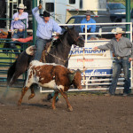 team roping
