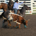 cowboy at work
