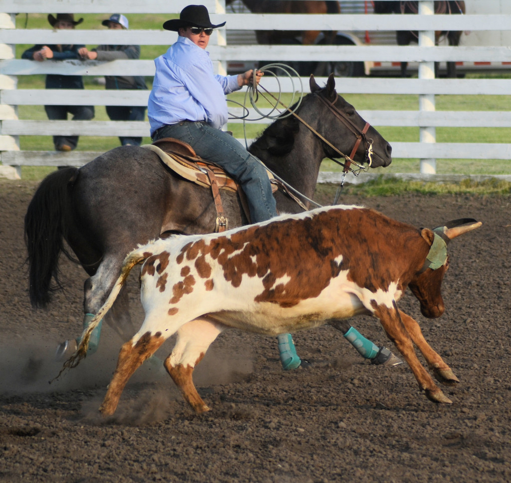 cowboy at work
