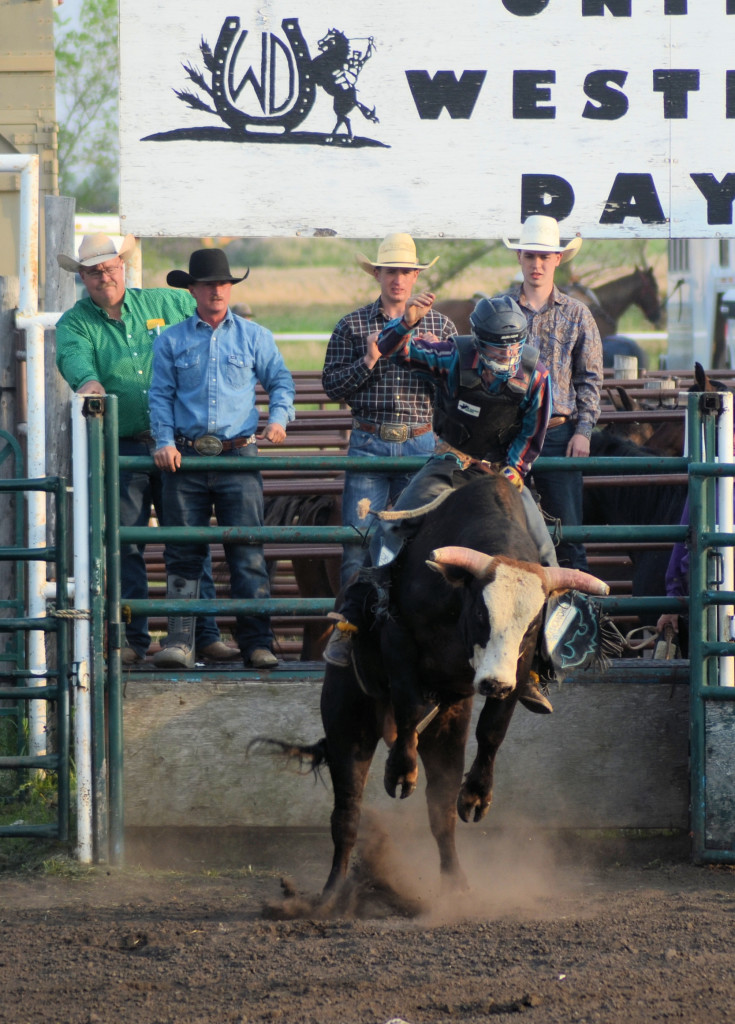 bull riding at Unity SK