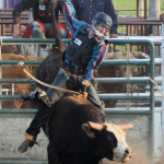 5364 bullrider