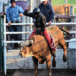 5372 bullrider out of chute cu