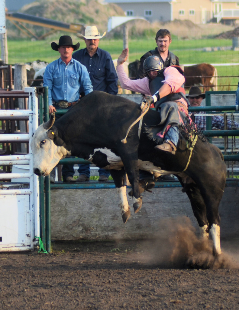 5394 bullrider