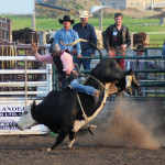 5395 bullrider