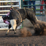 5396 bullrider falling