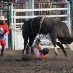 5397 rider on ground- bull in air