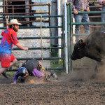 5439 bullrider danger