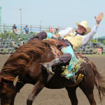 5674 bronc rider effort