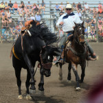 5730 bronc & pickup man