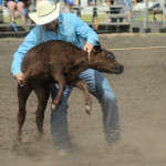 cowboy at work