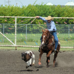 5815 roper in pursuit
