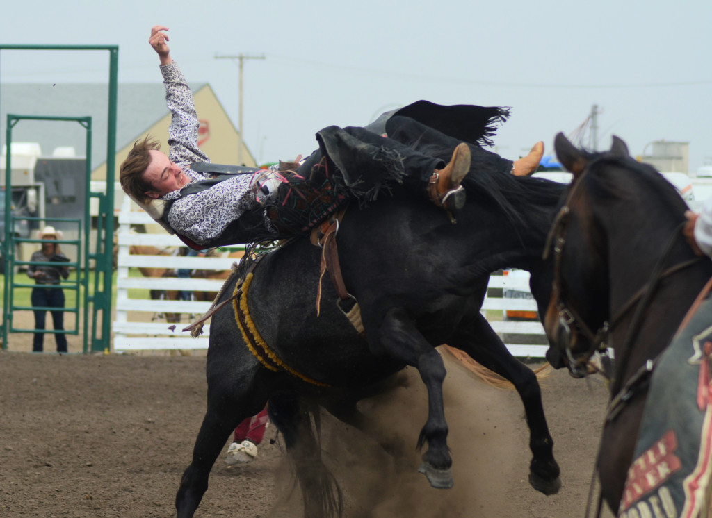 5883 bronc rider