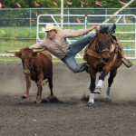 5910 steer wrestler