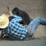 5920 steer close & personal