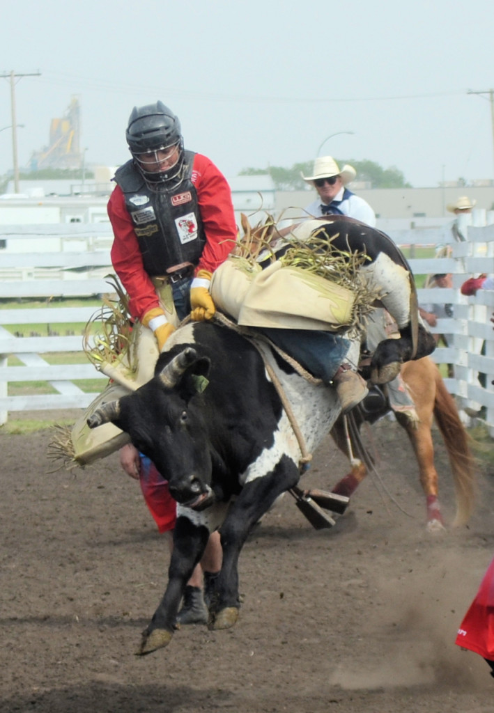 steer riding at Unity SK