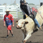 6028 steer rider girl
