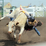 6030 steer rider girl