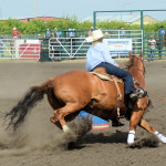 6254 twila