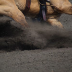 6300 barrel racing feet cu