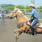 6367 barrel racer