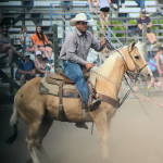 cowboy mounted on horse