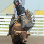 6614 bull rider