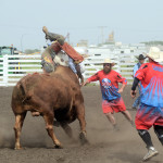 6642 bull rider off balance
