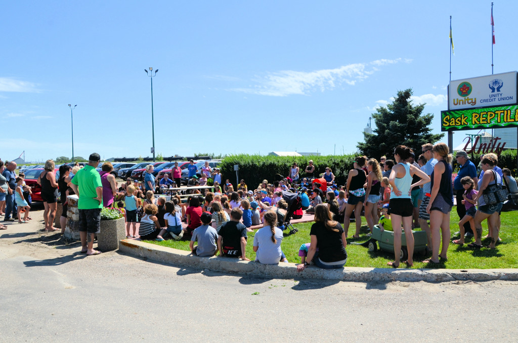 0780 reptile crowd